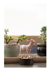Goat in jennifer engler's desk