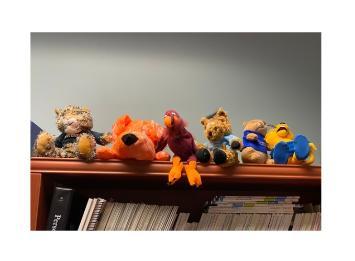 Mascots in Kia's office