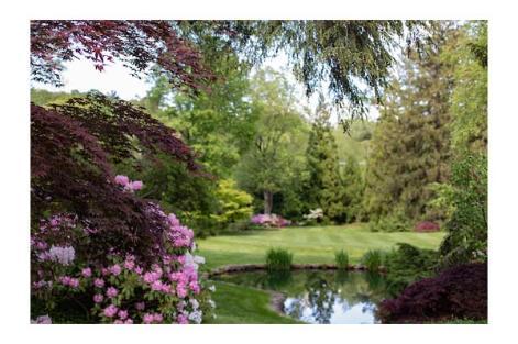 Greenery, trees, shrubs and flowers surround a small pond at Millbourne Estate.