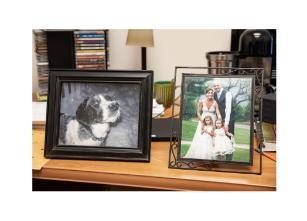 Ken's dog and wedding photo framed.