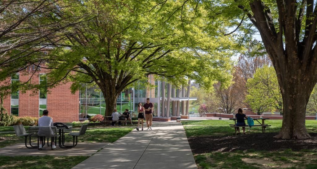 Students walk across sidewalks on the campus quad during springtime; trees bloom over the walkway.