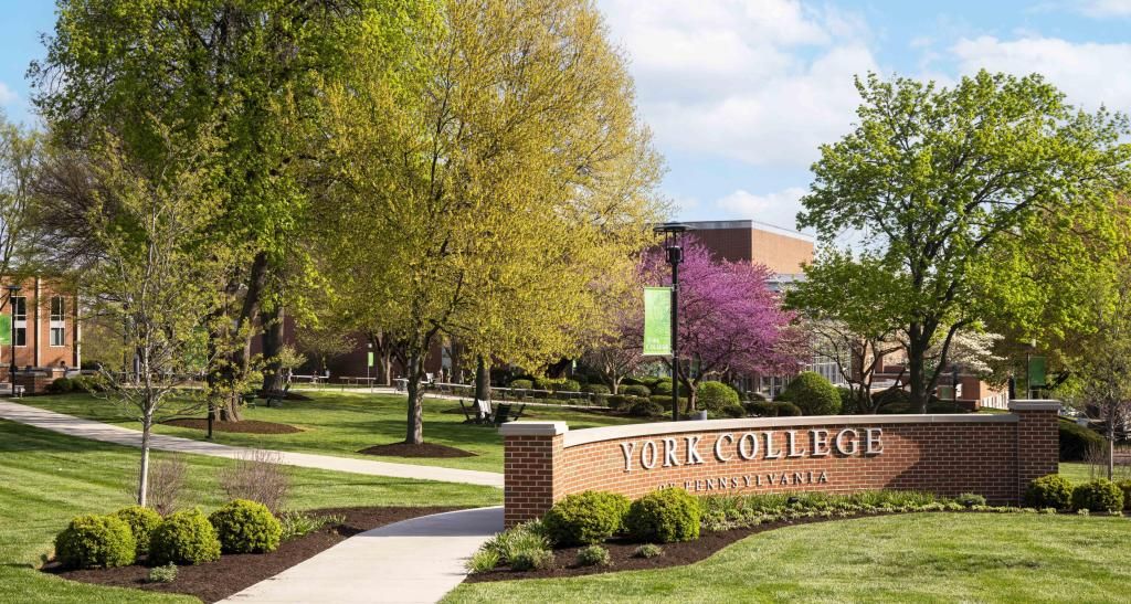 The York College sign on main campus in the spring.