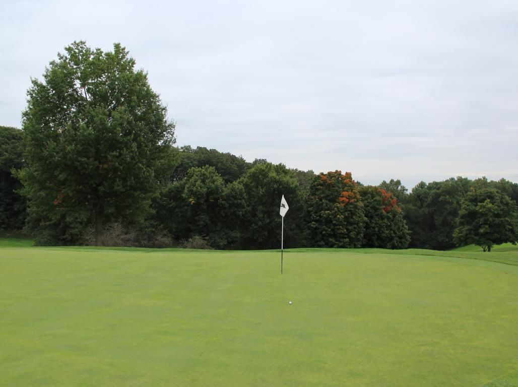 Pictured is a hole at a golf course