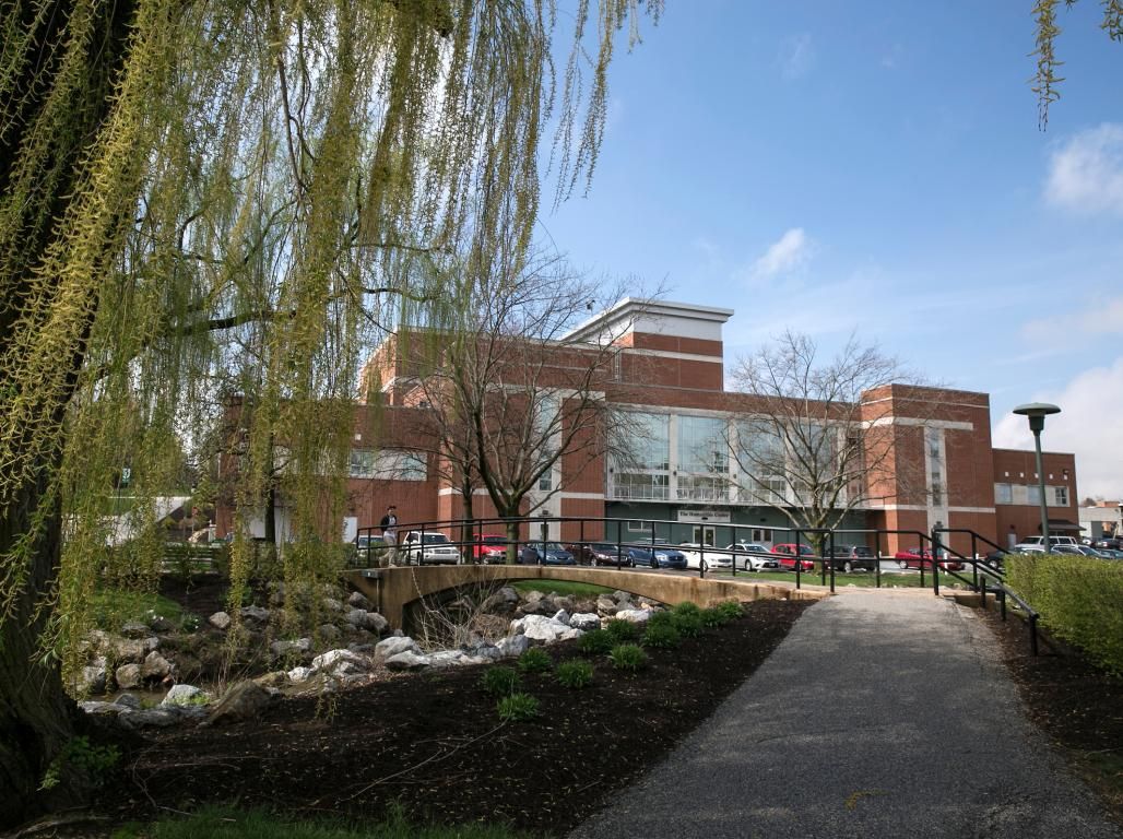A tree along the creek overlooking the bridge and the Humanities Center.