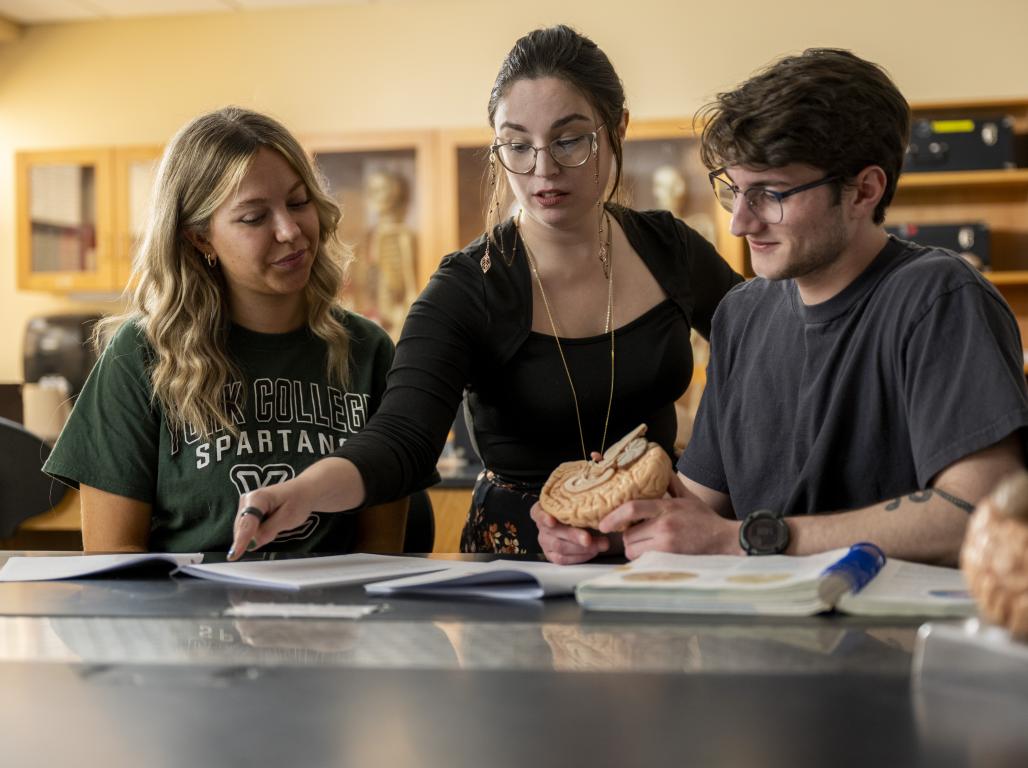 Two students and a professor looking over books in a classroom