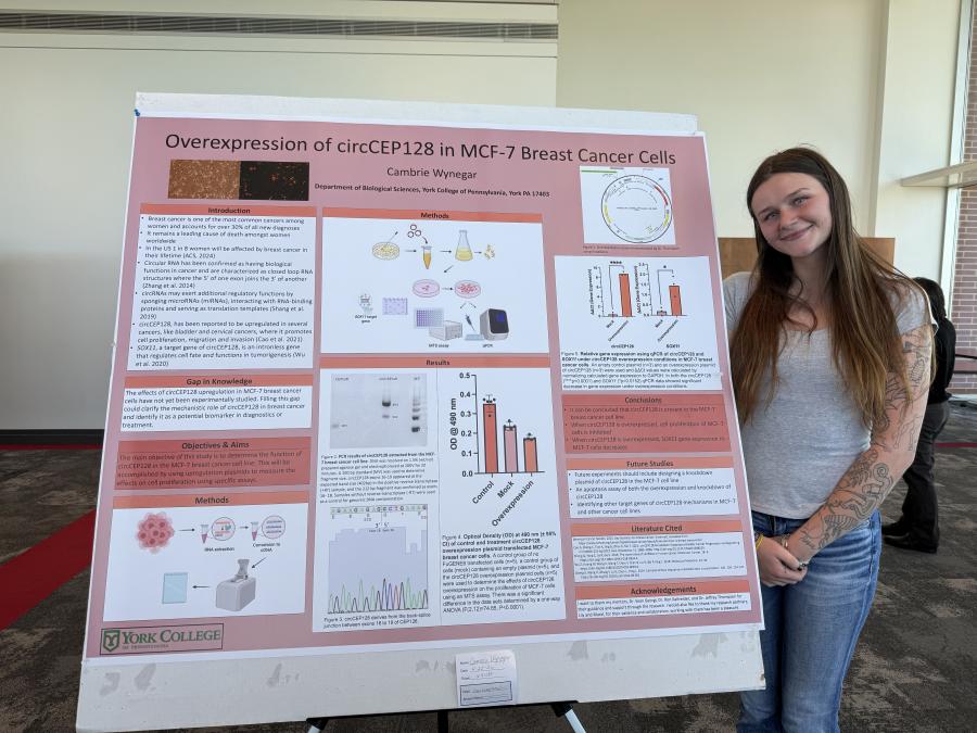 Cambrie Wynegar standing next to her biology poster