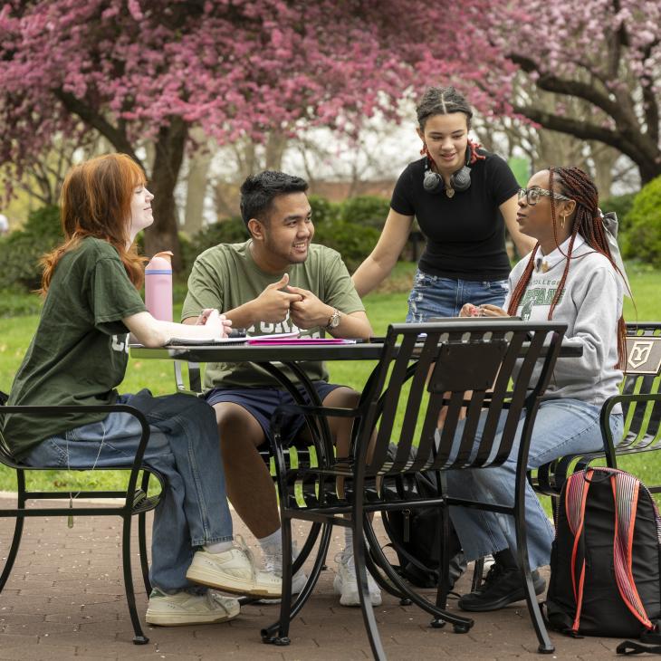 A group of students talk at a table with pink flowered trees behind them.