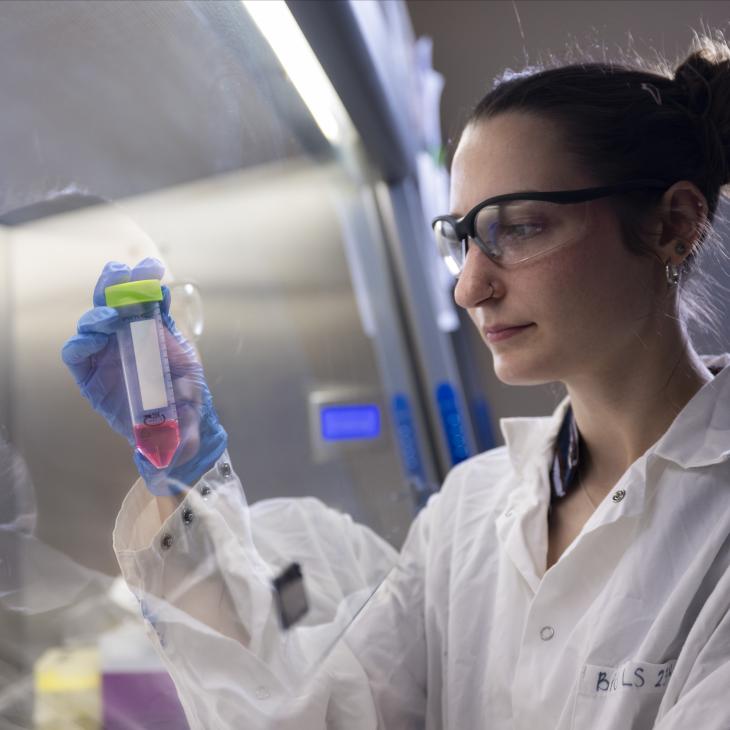 Biology student examining test tubes