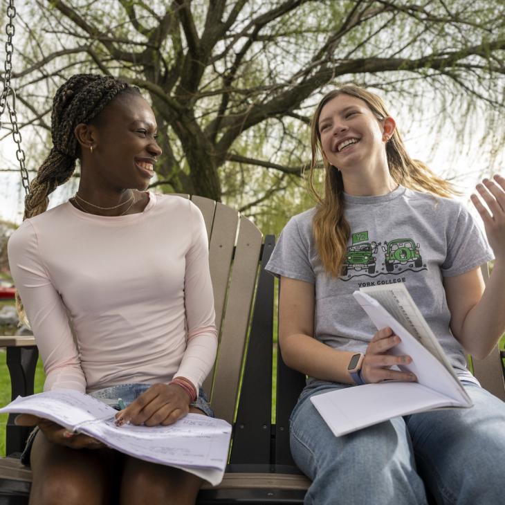 Two student studying together outside on a swing.